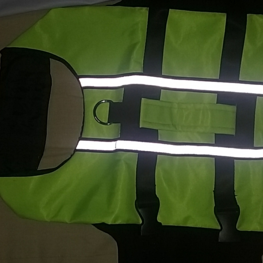 DOG SWIM VEST - Picture 3 of 8
